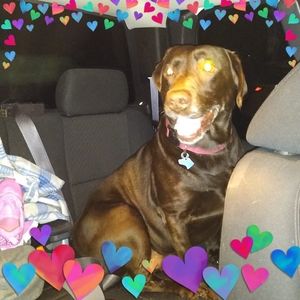 Meet your Posher, Debbie